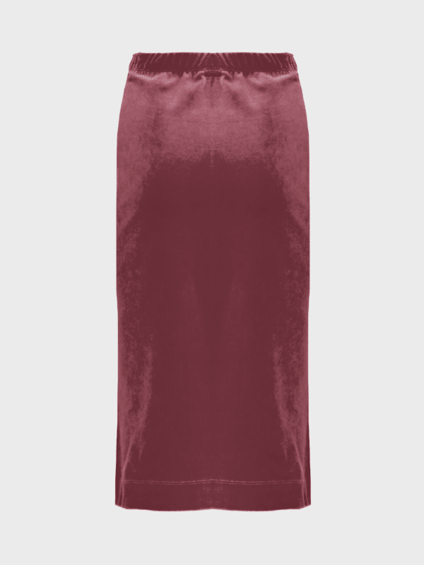 Crystal Clear Velvet skirt