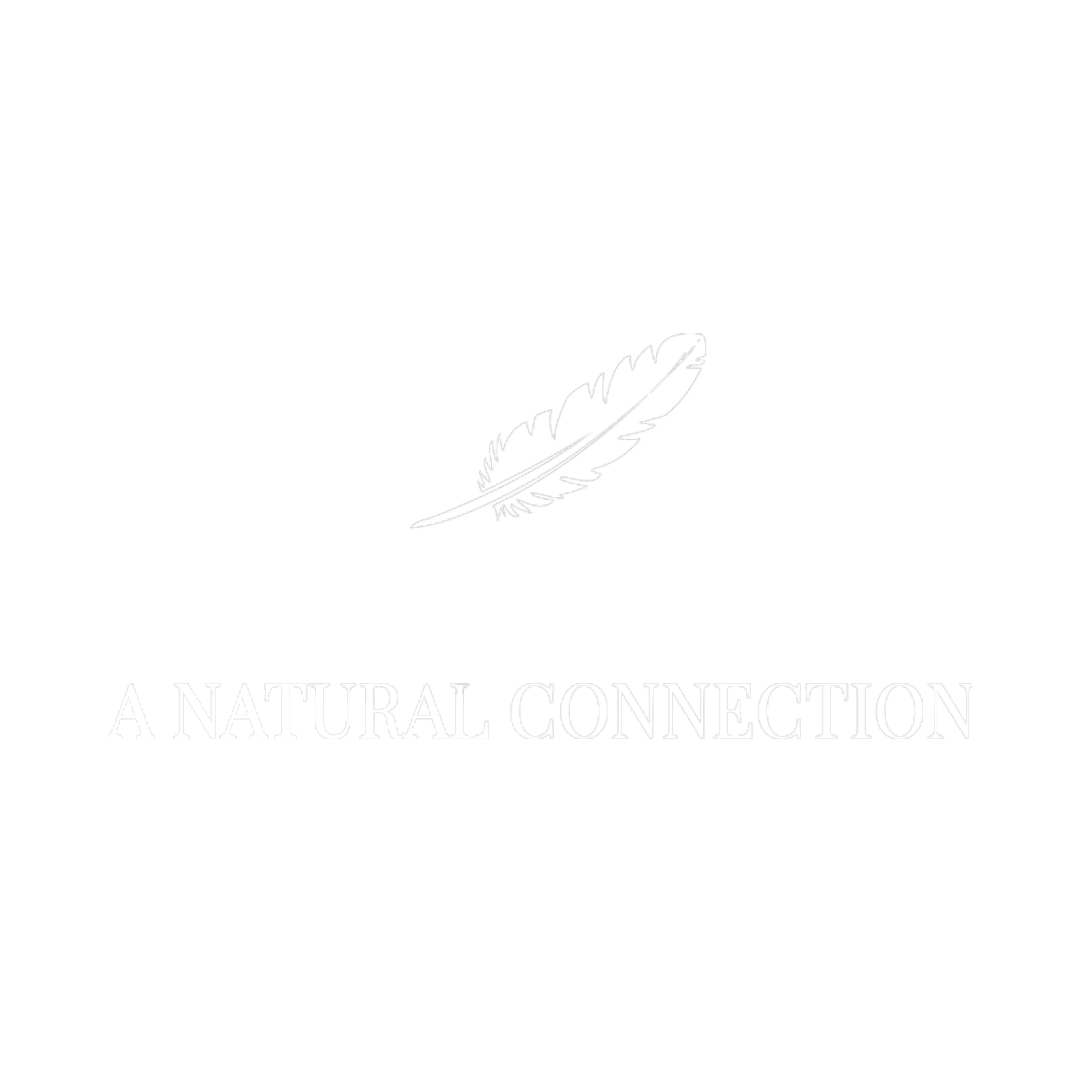 a natural connection at dressr