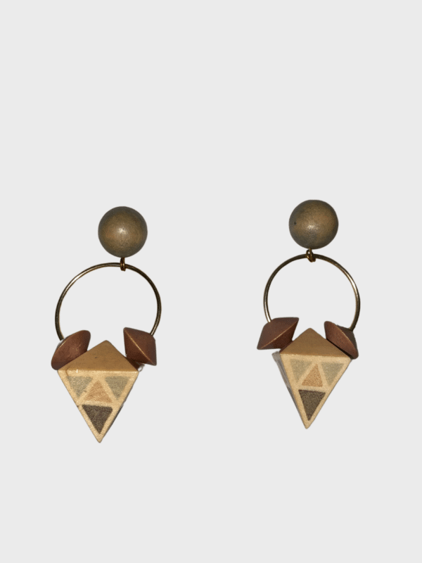 Shapy Drop Earrings