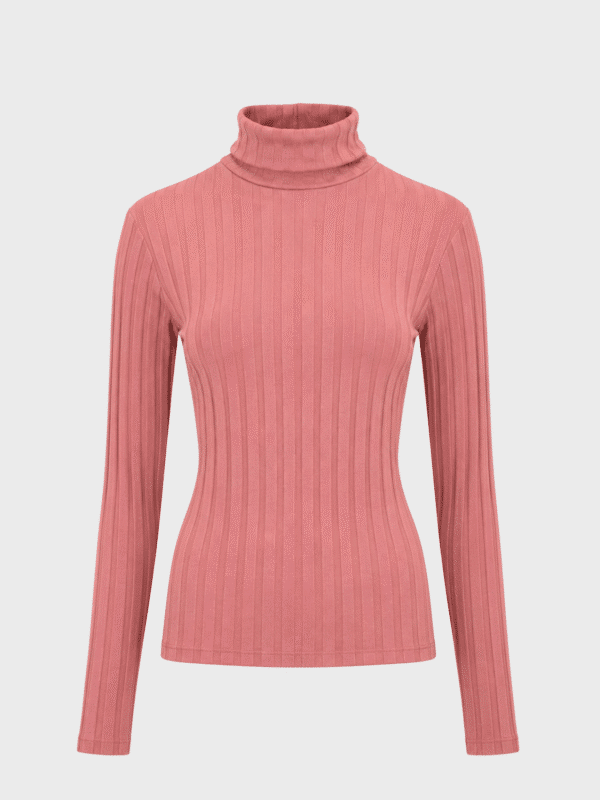Wide rib high neck top