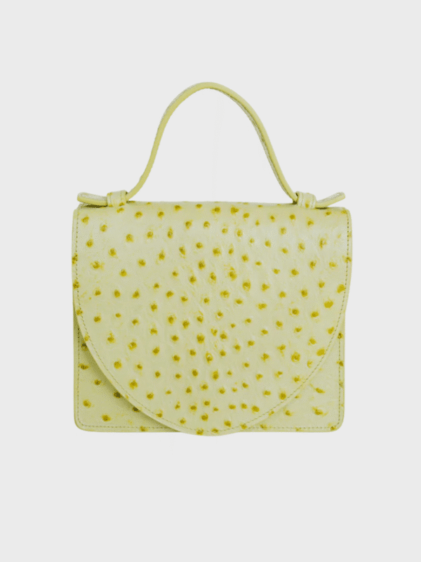 Micro Briefcase